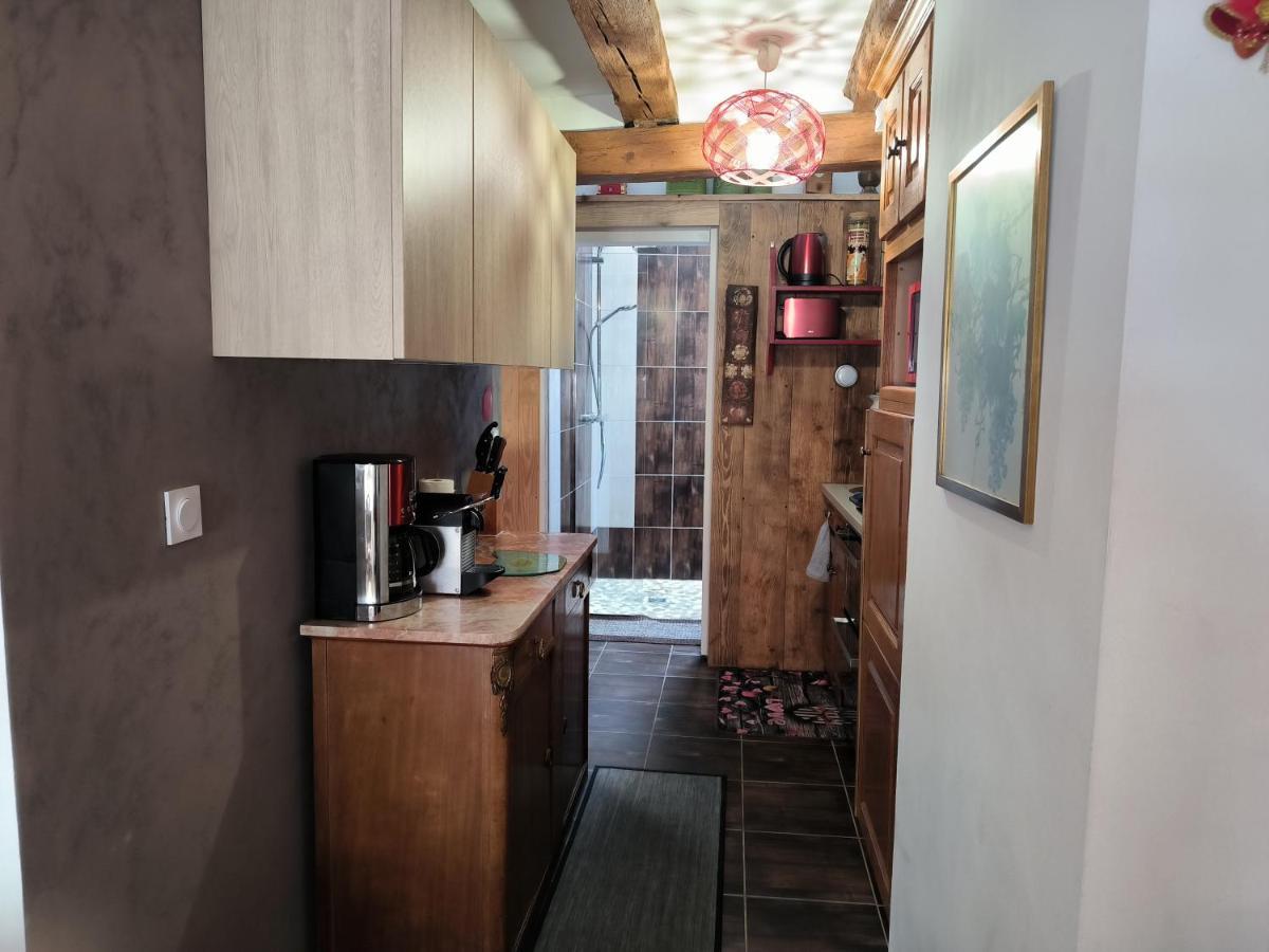 Appartements - 1 Mn Du Centre Ribeauvillé Kültér fotó