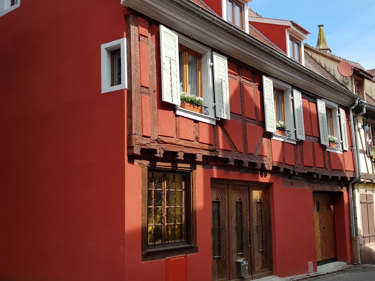 Appartements - 1 Mn Du Centre Ribeauvillé Kültér fotó